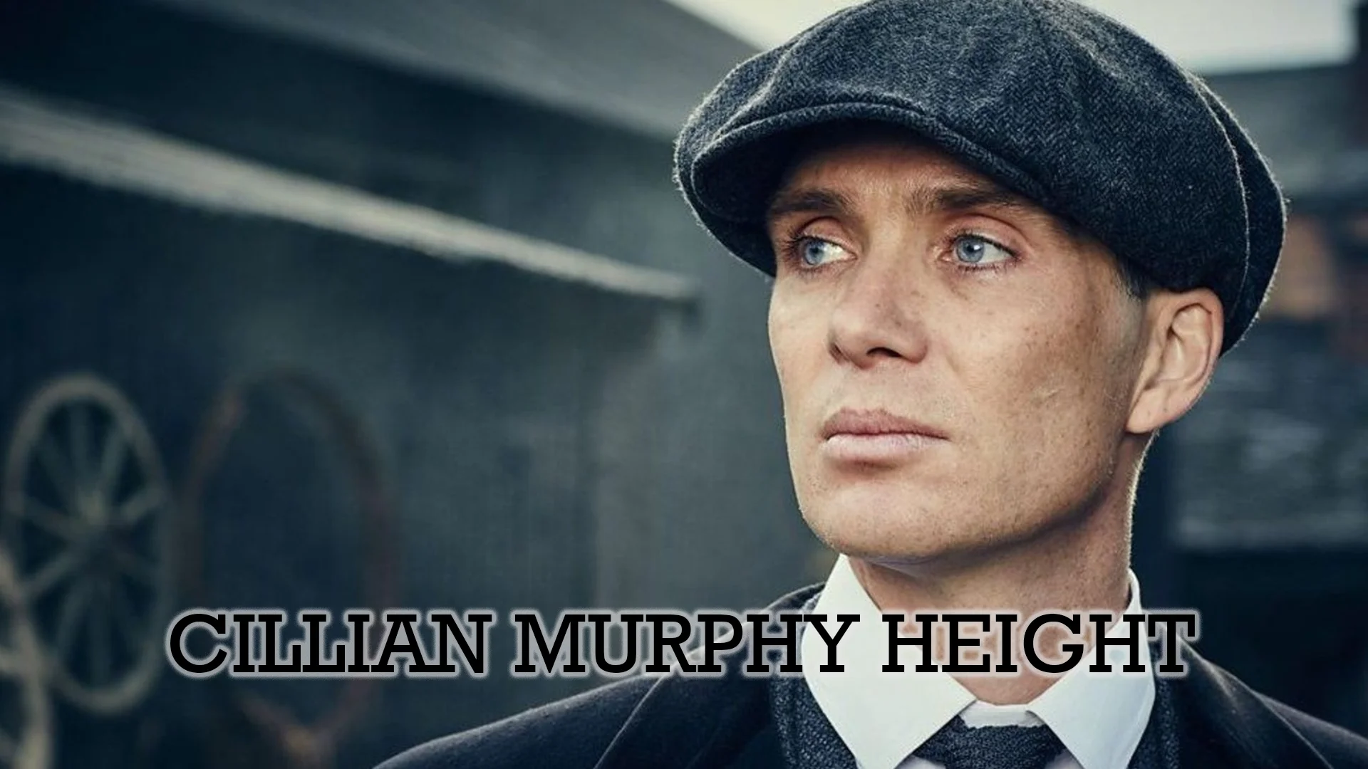 Cillian Murphy Height A Complete Guide To The Actor's Stature