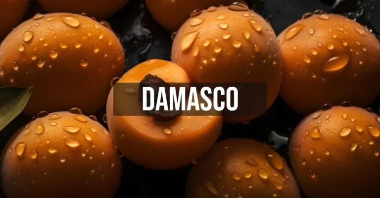 damasco