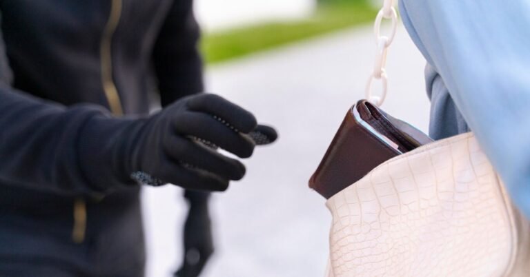 Gun Lock Holsters