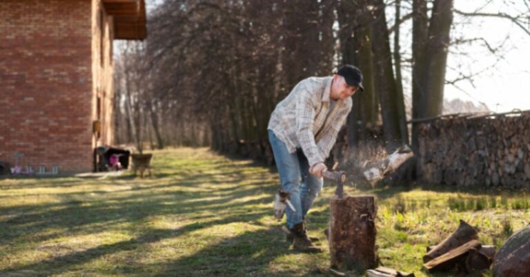 Tree Removal for Homeowners