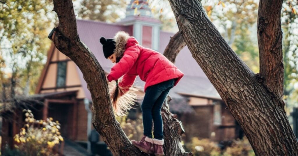 The Essential Guide to Safe and Efficient Tree Removal for Homeowners