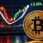 Bitcoin price steadies after sharp decline amid global market volatility